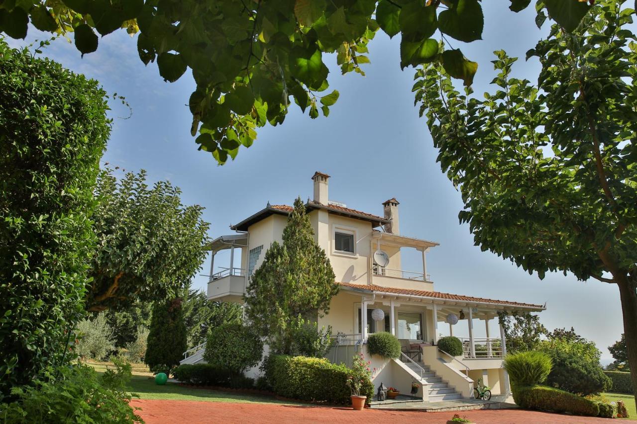 Tammy's Garden House Villa
