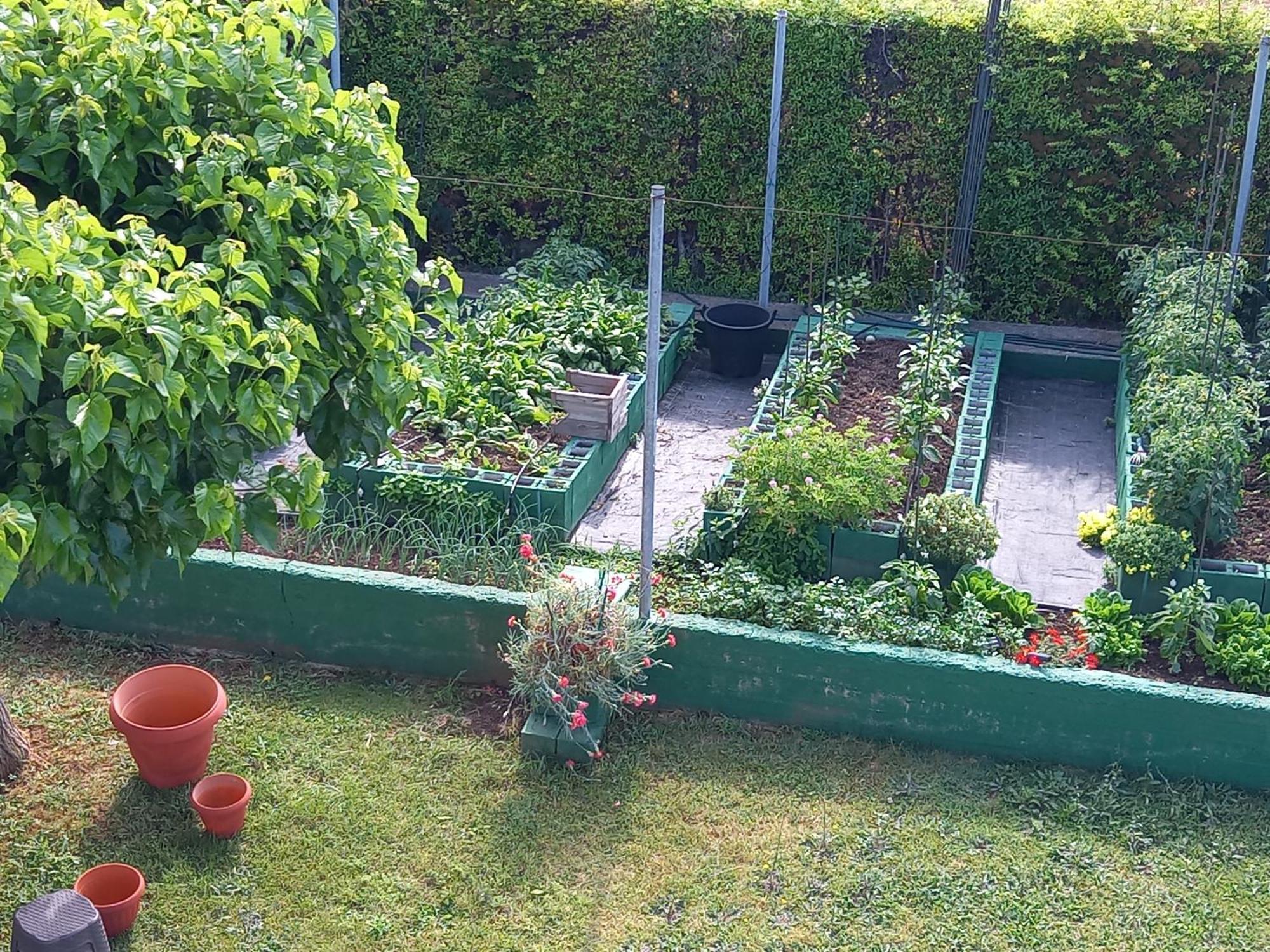 Tammy's Garden House *