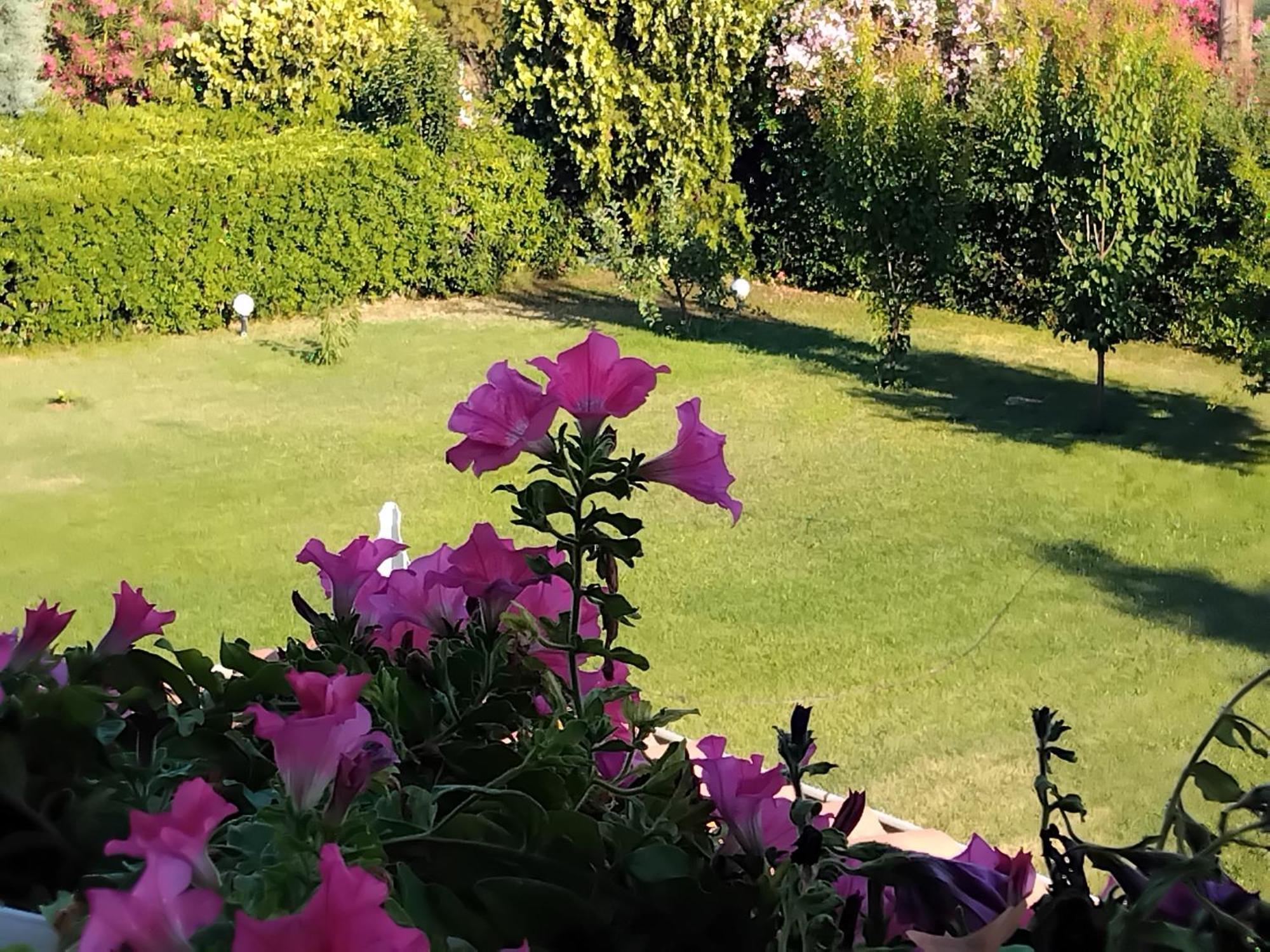 Tammy's Garden House Leptokarya (Pieria)