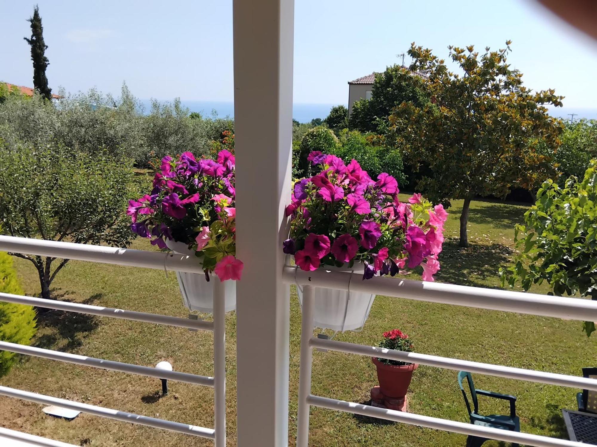 Tammy's Garden House