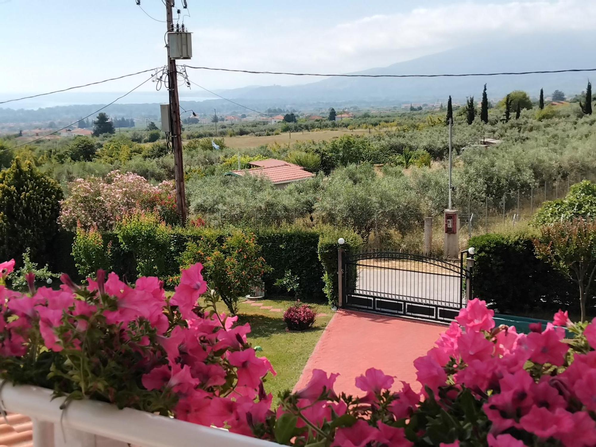 Tammy's Garden House Villa *