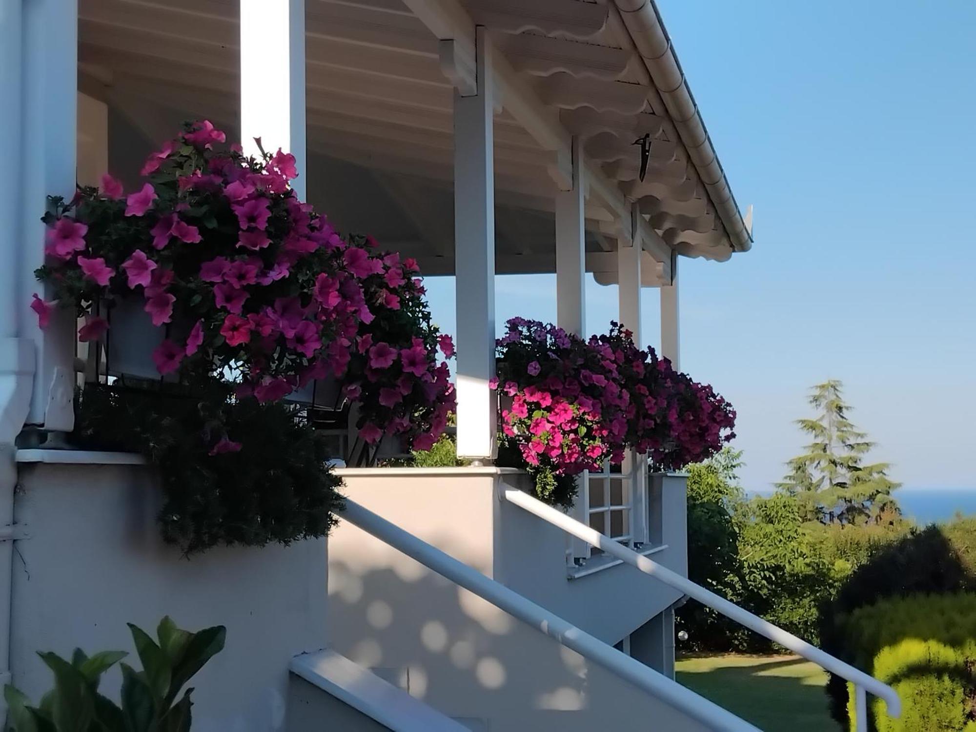 Villa Tammy's Garden House *