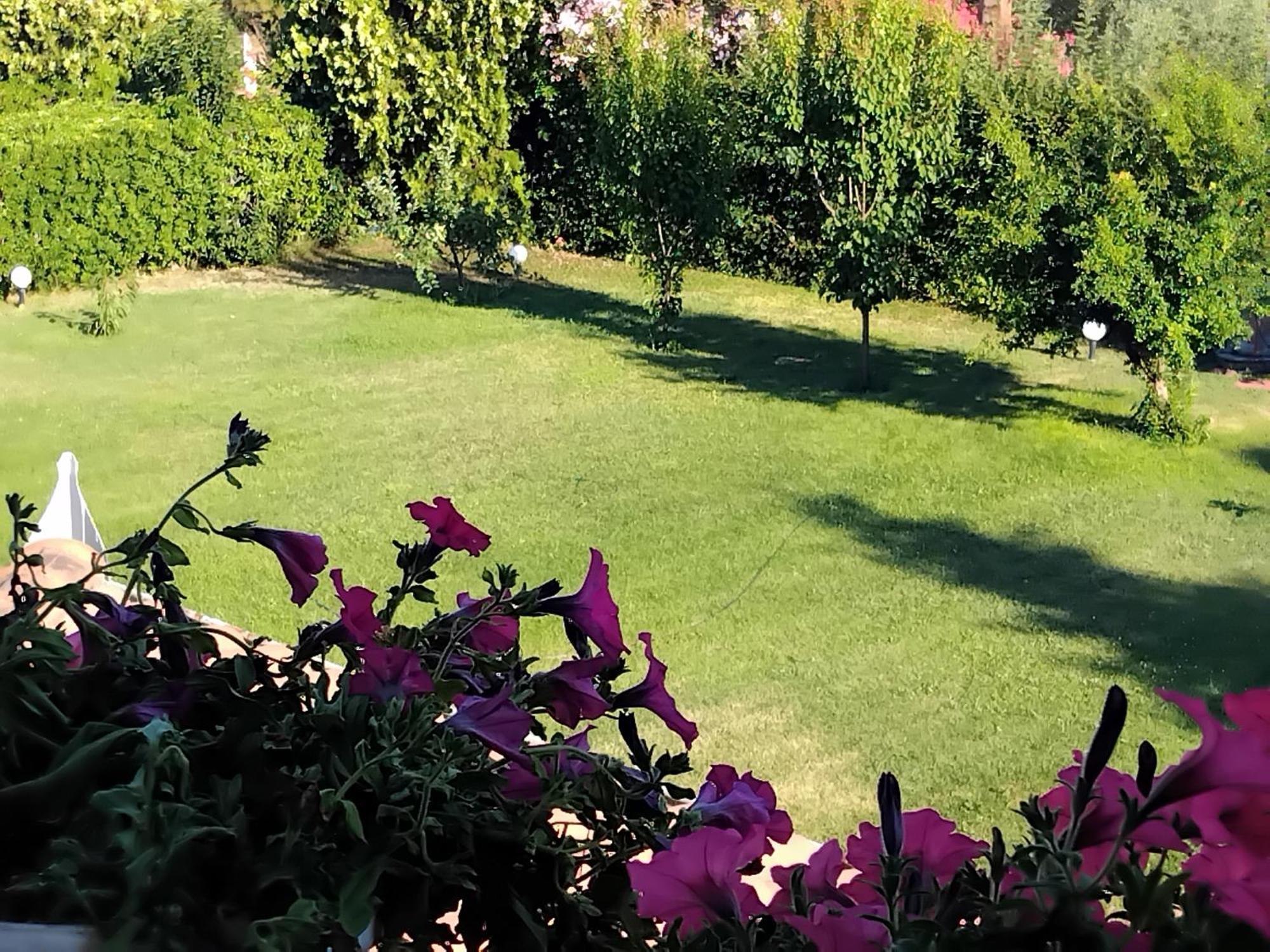 Villa Tammy's Garden House Leptokarya (Pieria)
