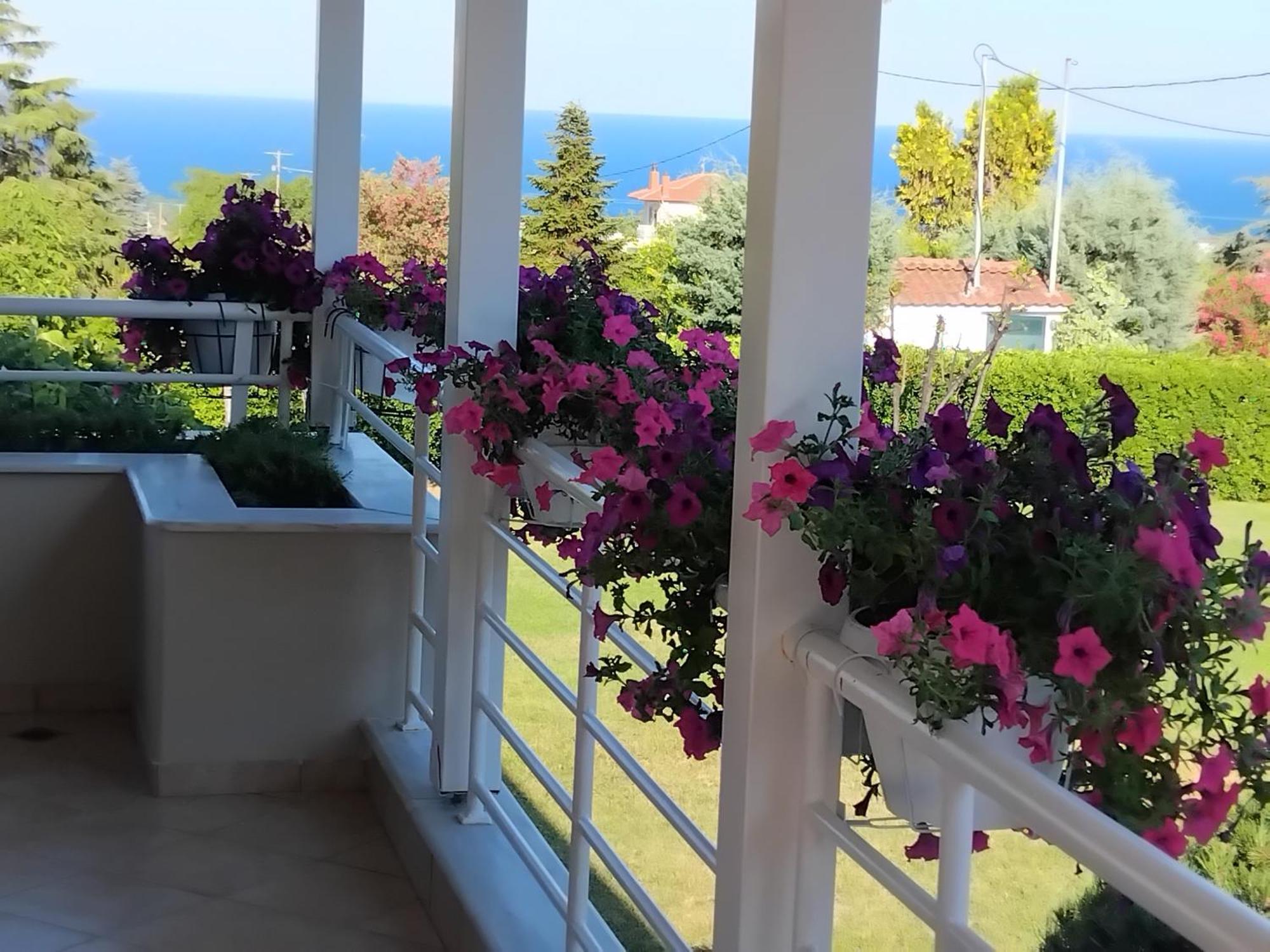 Tammy's Garden House *